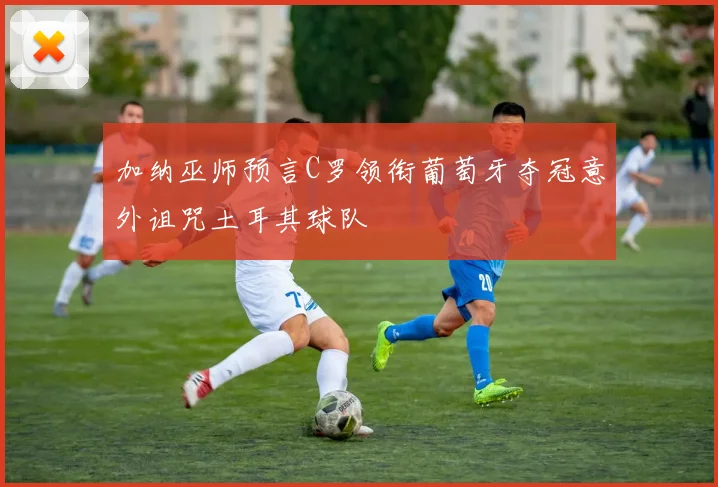 加纳巫师预言C罗领衔葡萄牙夺冠意外诅咒土耳其球队